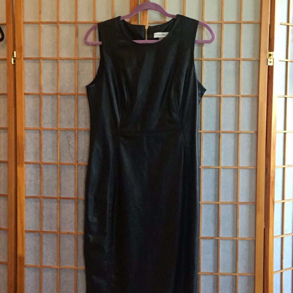 Leather Dress